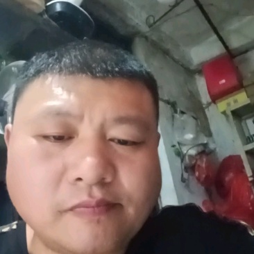 土鸡蛋1件代发