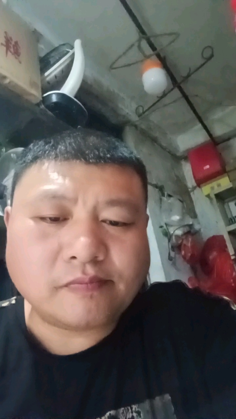 土鸡蛋1件代发
