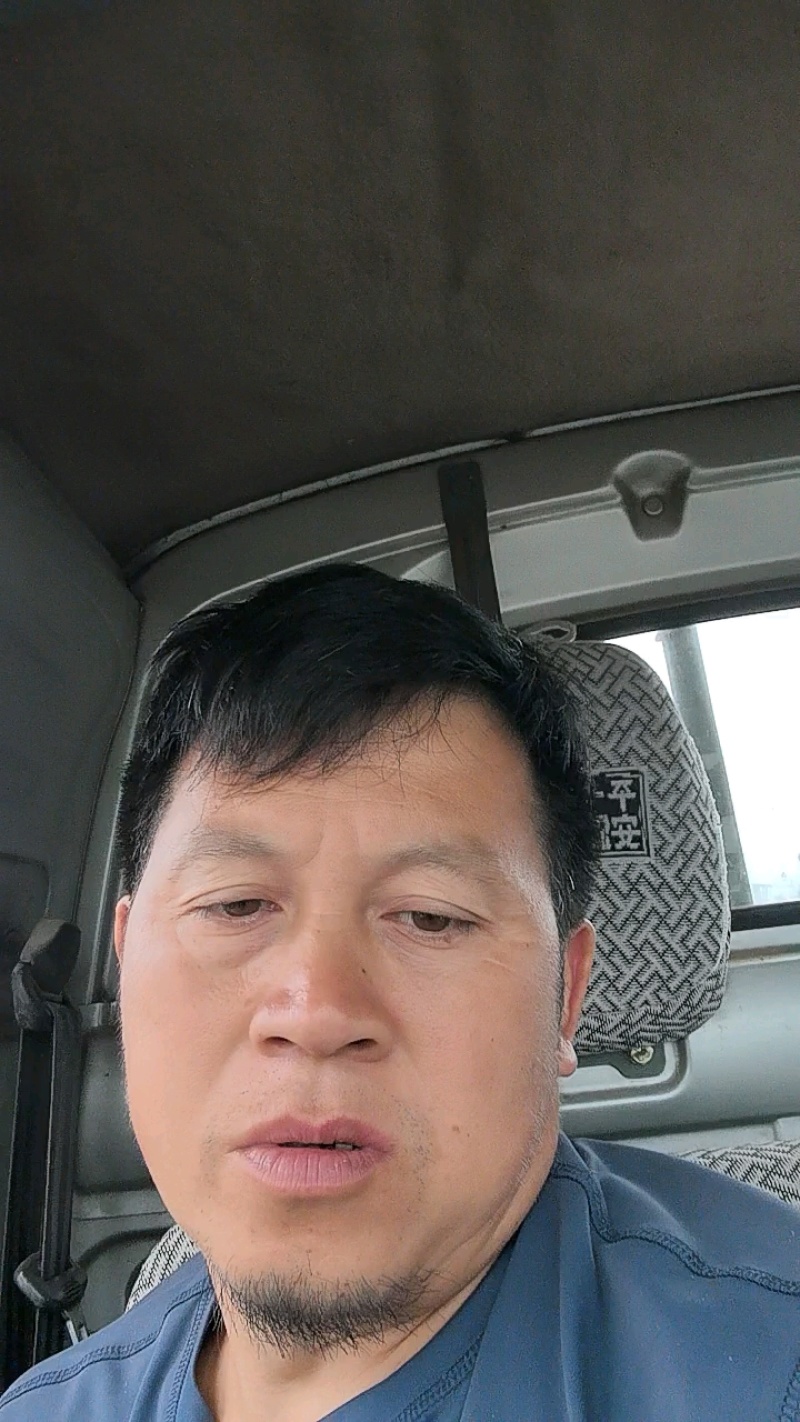 纽荷尔脐橙苗长虹脐橙子苗卡拉卡红肉脐橙苗特早熟脐橙苗