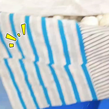大庆香瓜，