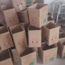 香水柠檬品质保证服务周到产地直发价格美丽欢迎联系