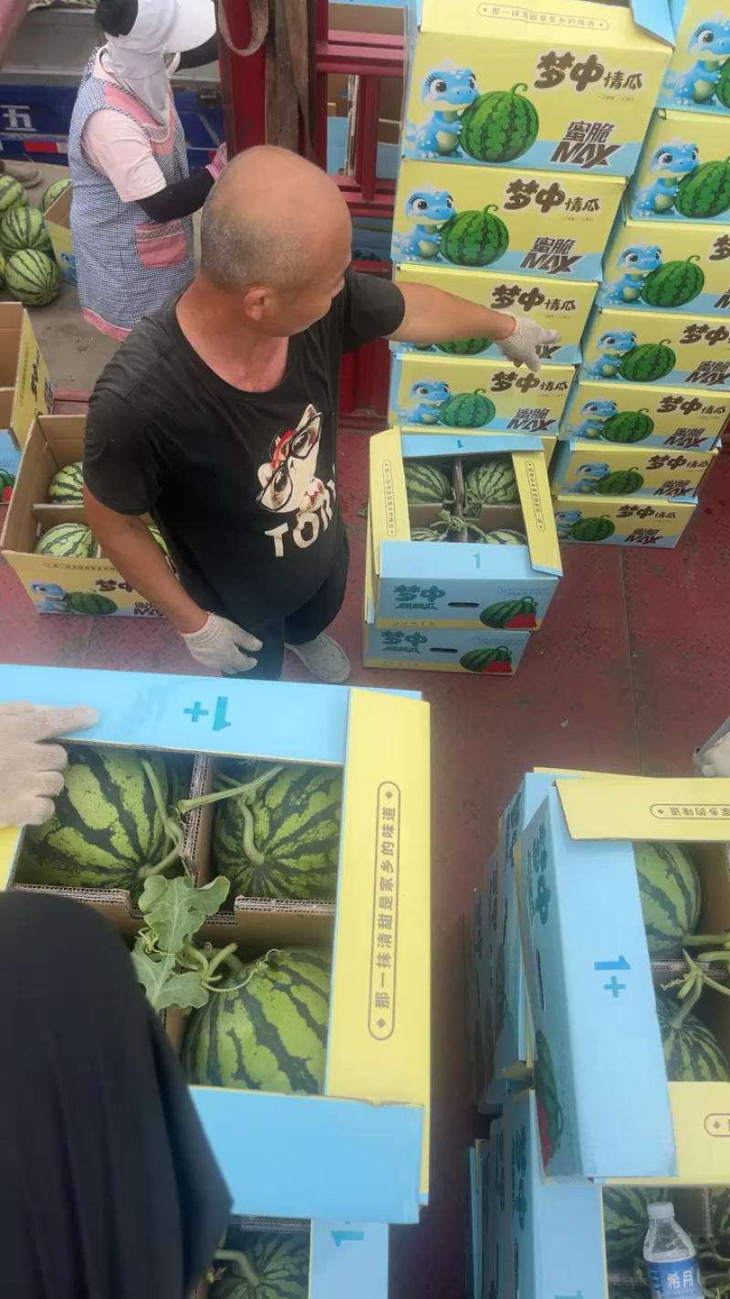 河南头茬无籽美都/麒麟西瓜/电商货/市场货/产地直供