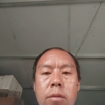 意大利生菜产地直发，可市场商超电商，支持任何规格货源充足