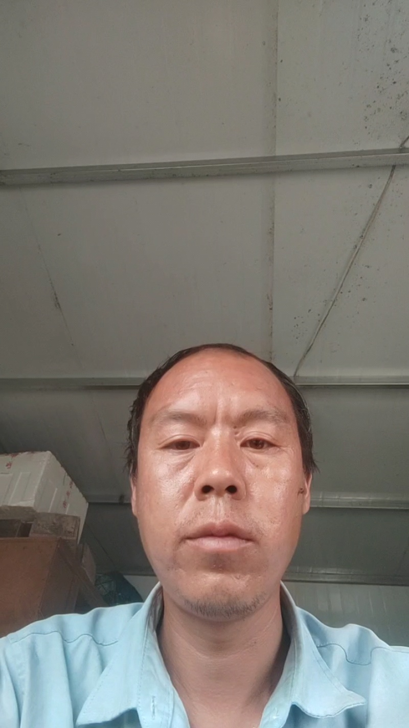 意大利生菜产地直发，可市场商超电商，支持任何规格货源充足