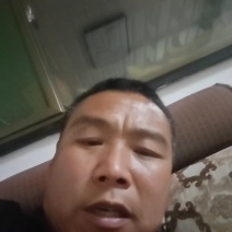 301白萝卜