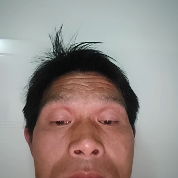 湖北正宗土鸡蛋走地鸡散养自家养殖/视频看货