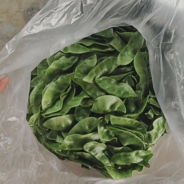 山东精品眉豆产地货源充足保质保量欢迎咨询
