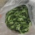 山东精品眉豆产地货源充足保质保量欢迎咨询