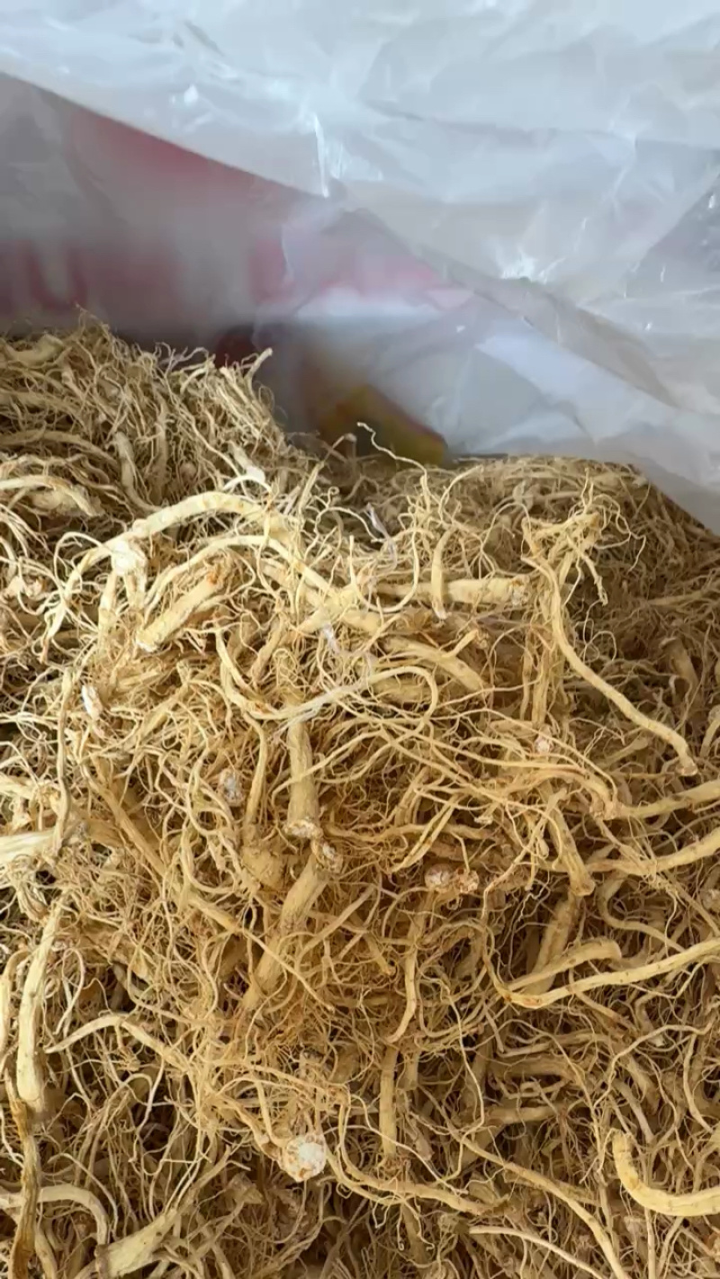 长白山人参须，自产自销，产地直供，常年供货，量大从优