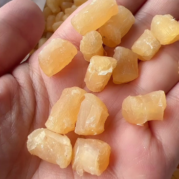 瑶柱地摊电商批发瑶柱干干瑶柱扇贝干干贝