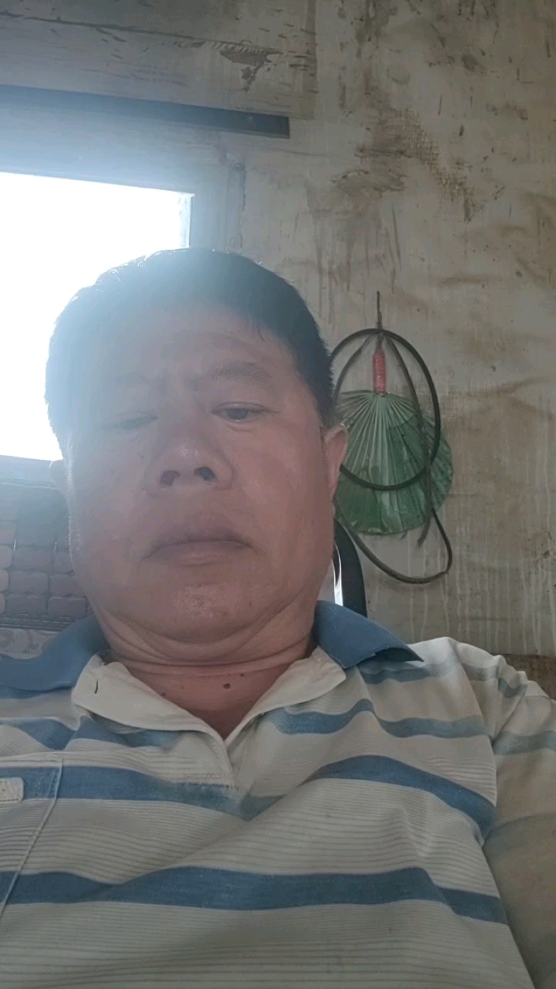 芽苗菜