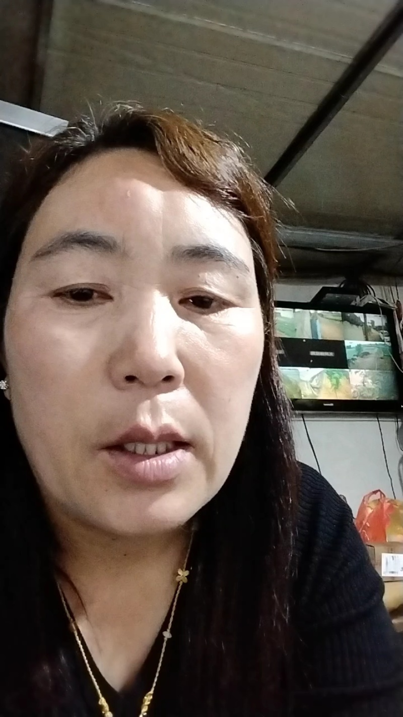 芋头豆包芋头，8520毛芋头，软糯香甜，芋头种子货源充足
