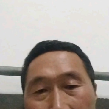 博洋六一甜瓜面积大，货量充足，上货快，服务好