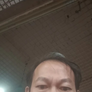 新鲜活冻面包蟹，长期面向全国超低价批发，够肥够饱满。