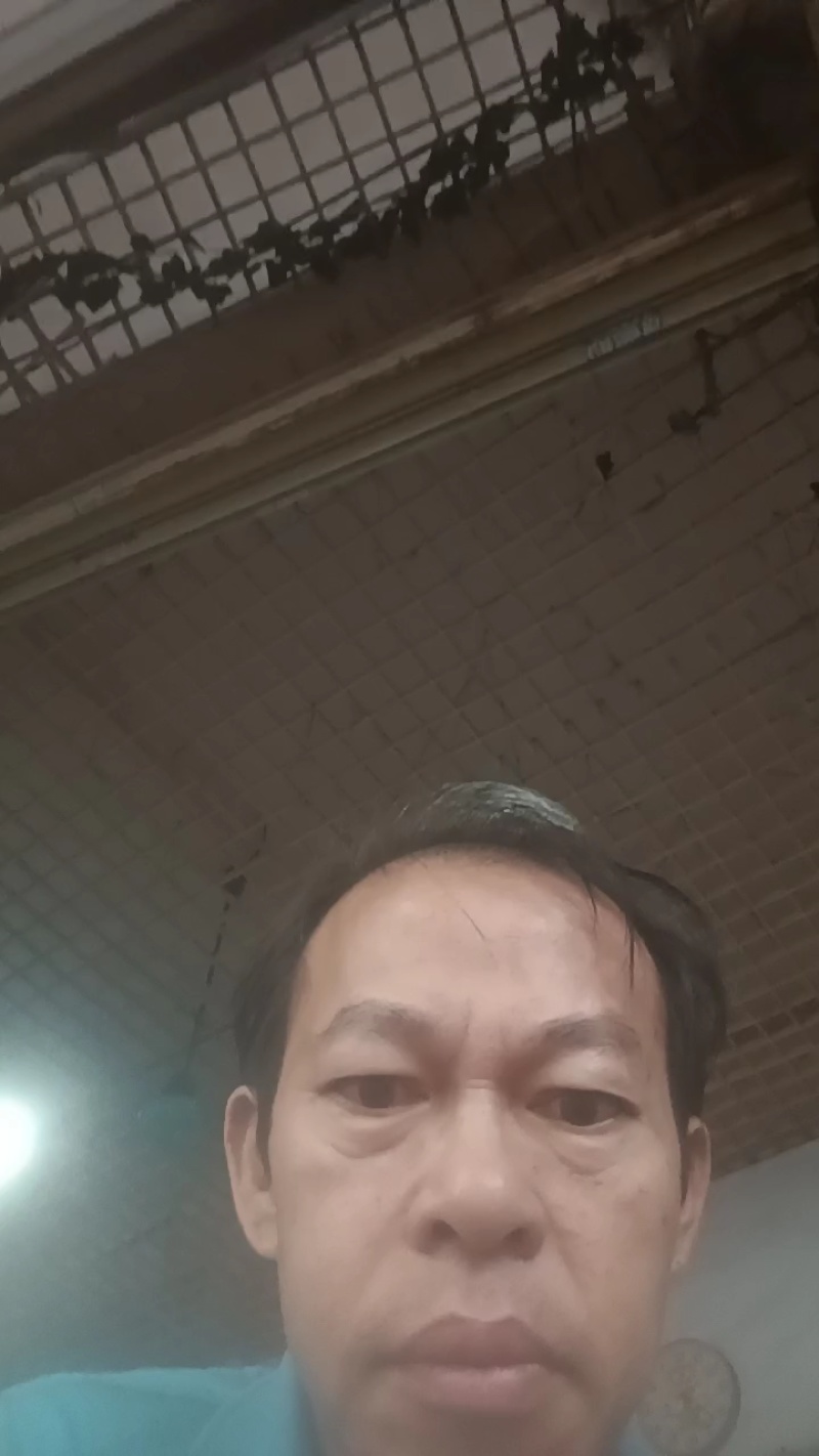 新鲜活冻面包蟹，长期面向全国超低价批发，够肥够饱满。