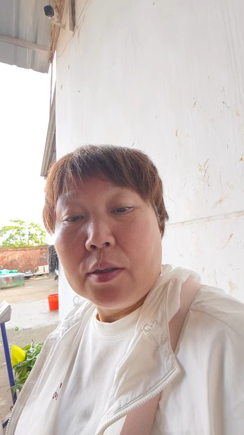 【血橙】中华红血橙个头大口感甜水分充足产地大量供应团购