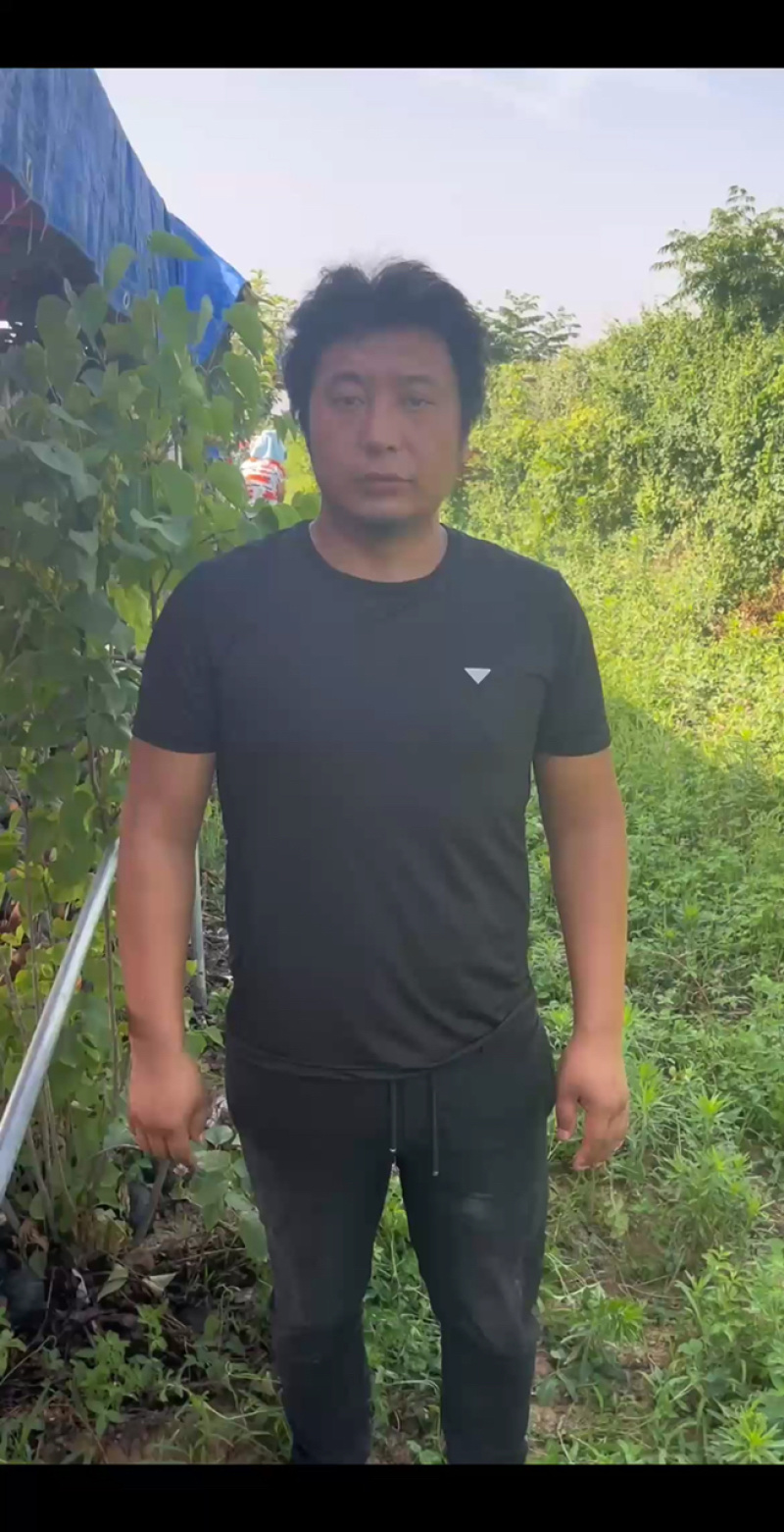 陕西贝贝小南瓜全年品有货，可供应电商，市场，商超