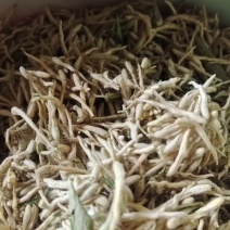 金银花产地直销价格优惠，欢迎朋友来订购，一斤也是批发价