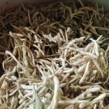 金银花产地直销价格优惠，欢迎朋友来订购，一斤也是批发价
