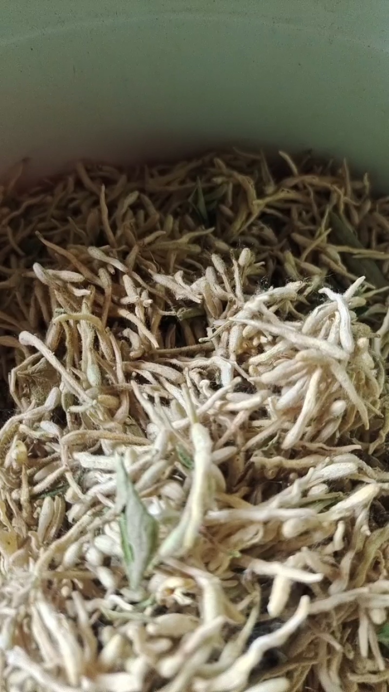 金银花产地直销价格优惠，欢迎朋友来订购，一斤也是批发价