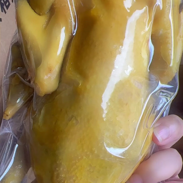 五指毛桃盐焗鸡地摊电商批发盐焗鸡摆摊卤味熟食全熟盐焗鸡