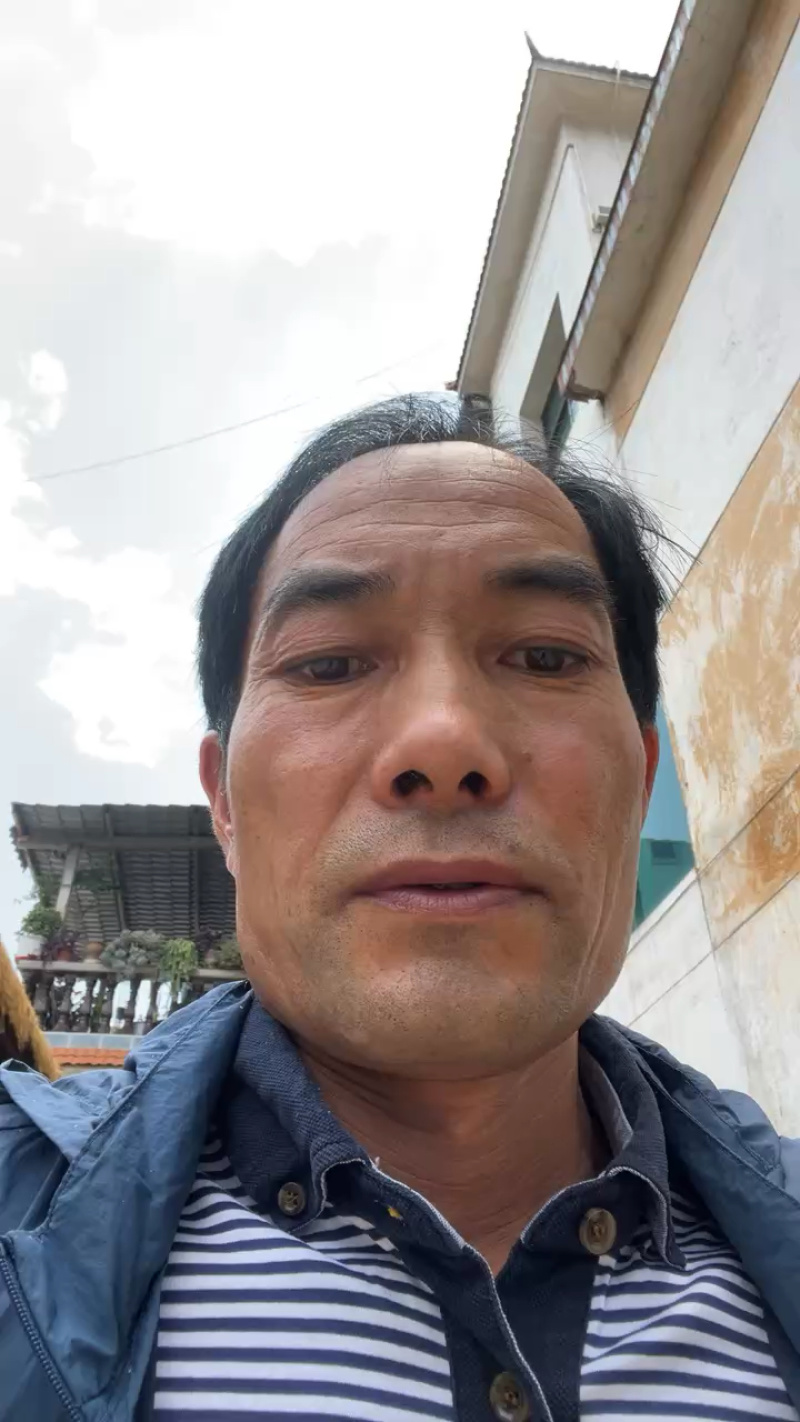 精品无花果产地发货供应各大电商市场可视频看货