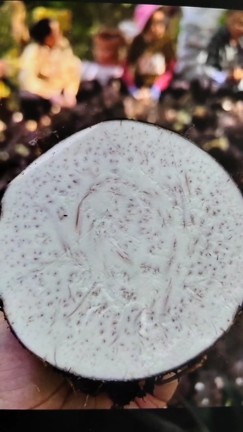 香芋头