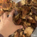 陈皮个新货老货精选货长期批发量大价优质量保