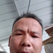 新疆阿克苏185纸皮核桃