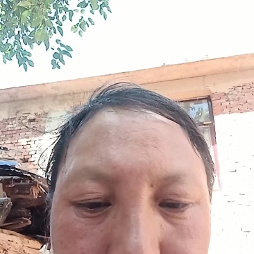 云南开伞松茸干片大量接单产地直发量大从优欢迎来电