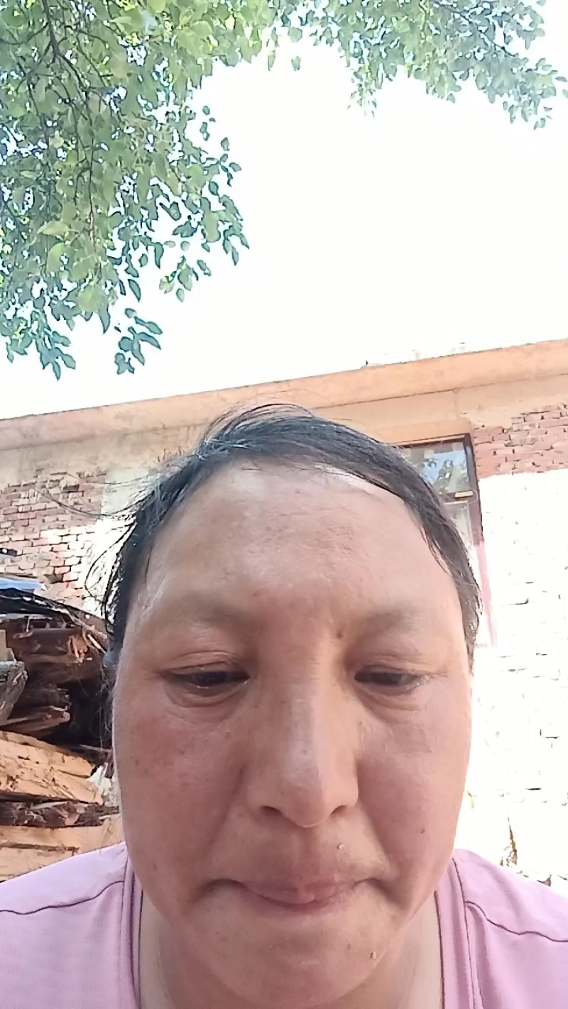 云南开伞松茸干片大量接单产地直发量大从优欢迎来电