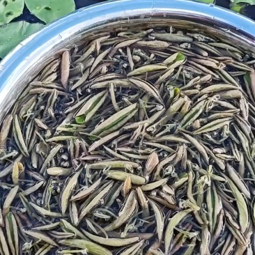莼菜（统货）