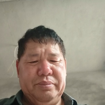 原阳县老张花生秧草料细粉无土无膜无霉变欢迎各商户用户定购
