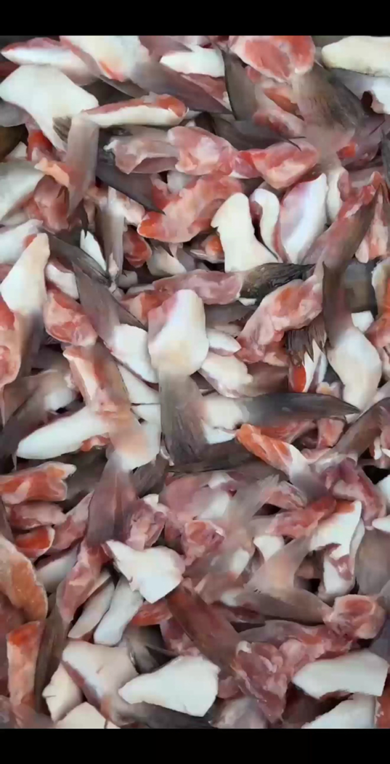 三文鱼鳍，三文鱼划水新鲜冷冻，烧烤，油炸，大量供应