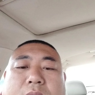 甘蓝