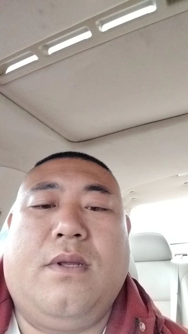 甘蓝