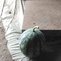 西瓜