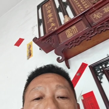 竹荪基地直发品质保证诚信经营量大从优欢迎来电