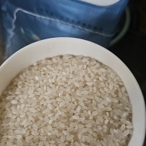 精品蟹田米产地直发对接电商市场商场可零售可批发