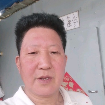 吐鲁番虎头灰枣，香甜劲道（有免洗，原货土灰枣）