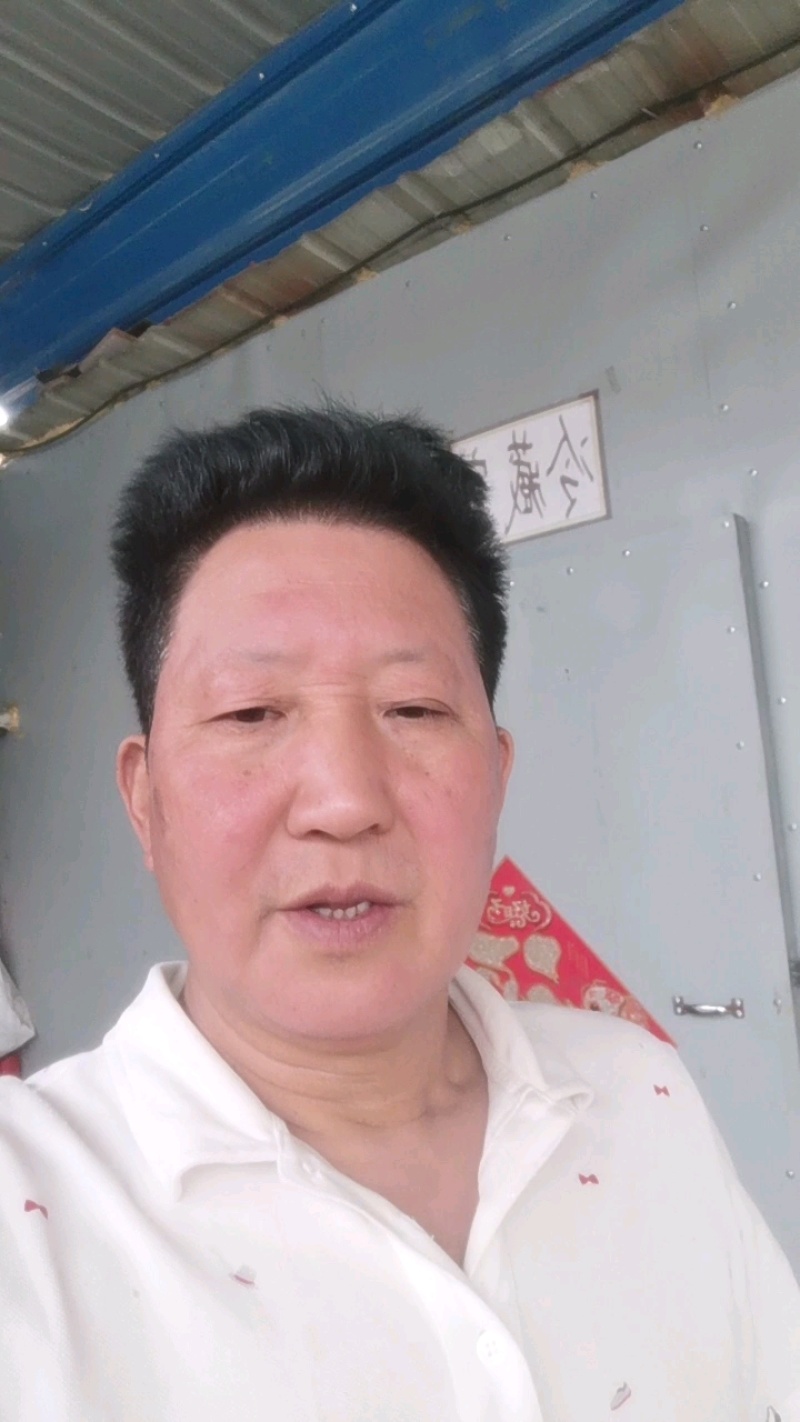 吐鲁番虎头灰枣，香甜劲道（有免洗，原货土灰枣）