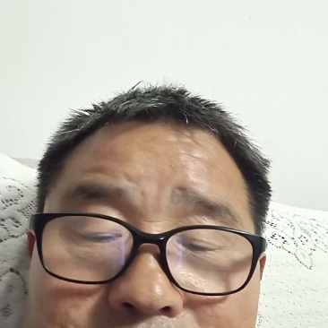 高山野生艾叶，干净无杂质，精品货源。