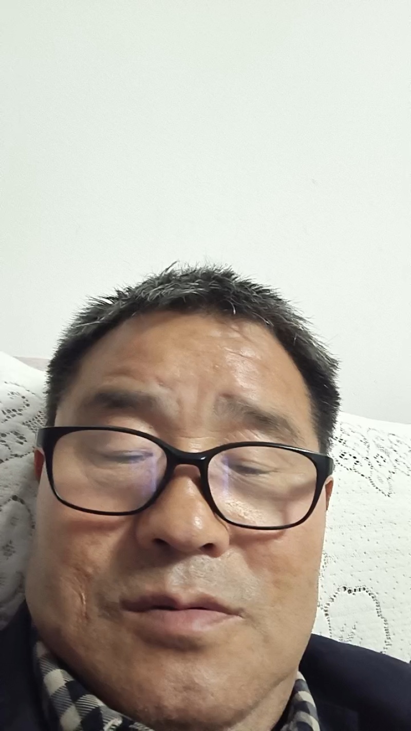 高山野生艾叶，干净无杂质，精品货源。