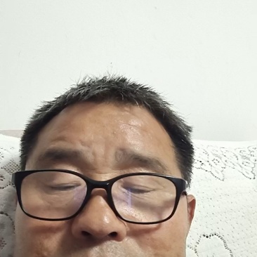 秦岭山脉自然生长野生药用价值高，无硫精选新货
