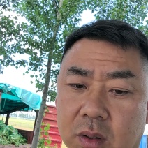 黄心大白菜