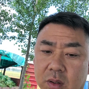 黄心大白菜