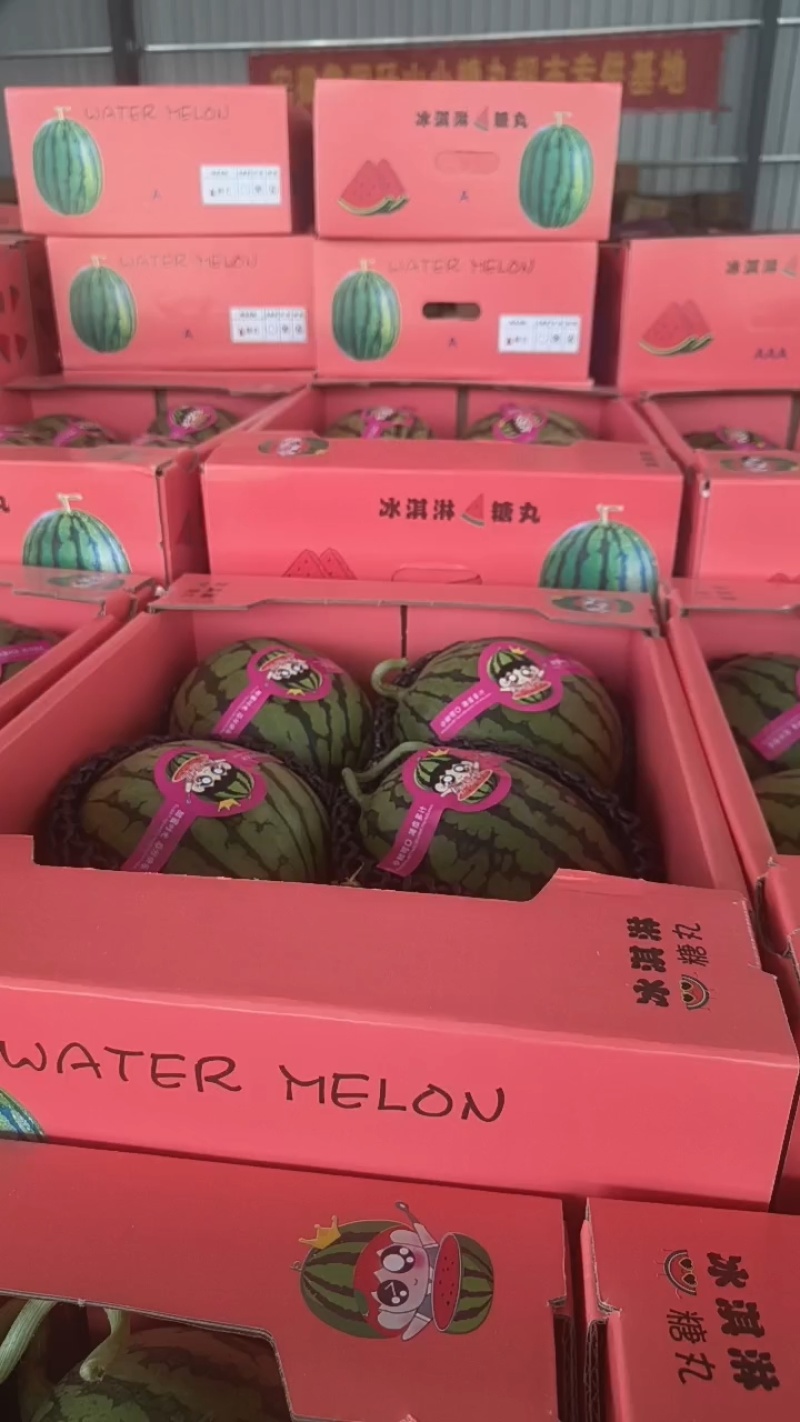 【精品】早春红玉全美2K小糖丸西市场商超大量现货
