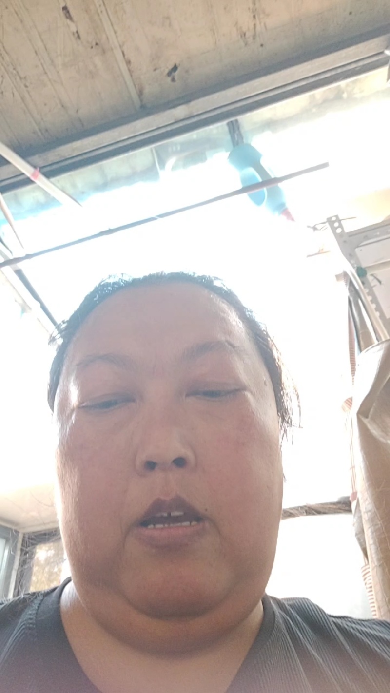 苹果梨
