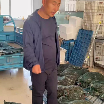 盘锦蟹苗天天有货，月底出苗接受预定！