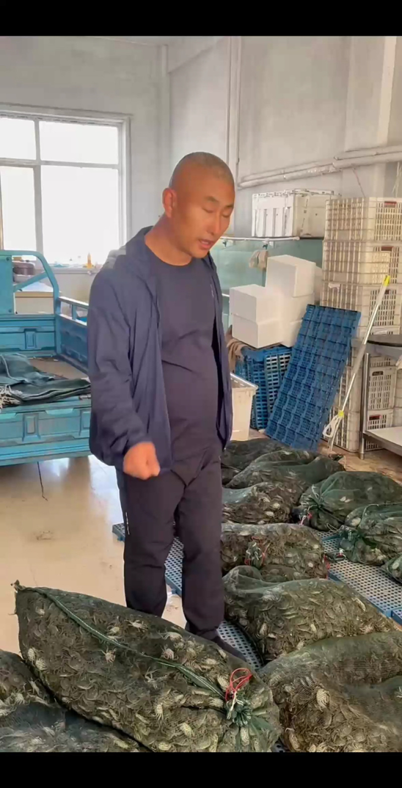 盘锦蟹苗天天有货，月底出苗接受预定！